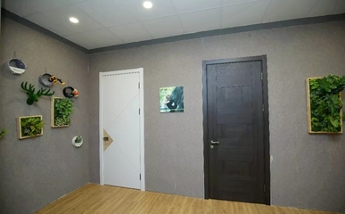 圣象家居實(shí)話實(shí)說:消費(fèi)者代言才是走心!